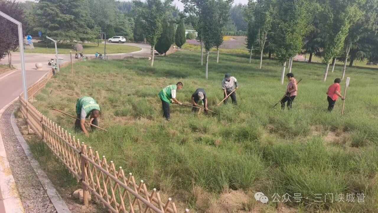 微信图片_2026-06-15_081908_514.jpg
