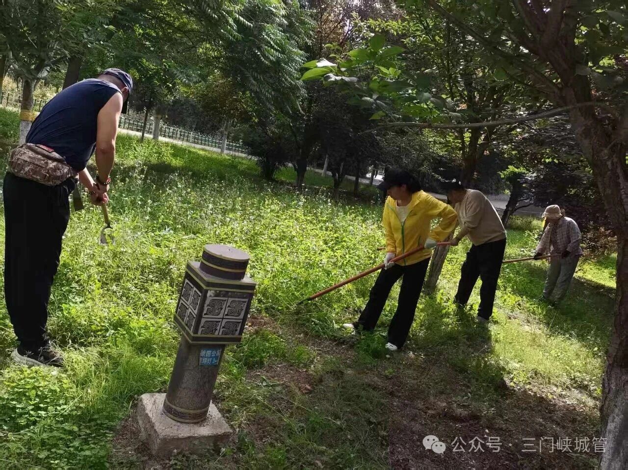 微信图片_2026-06-15_081914_947.jpg