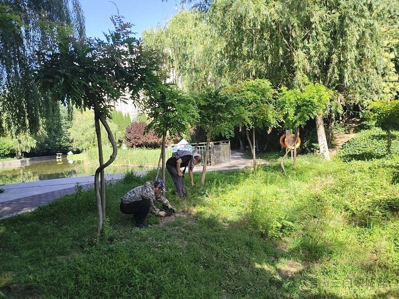 微信图片_2026-06-15_081918_434.jpg
