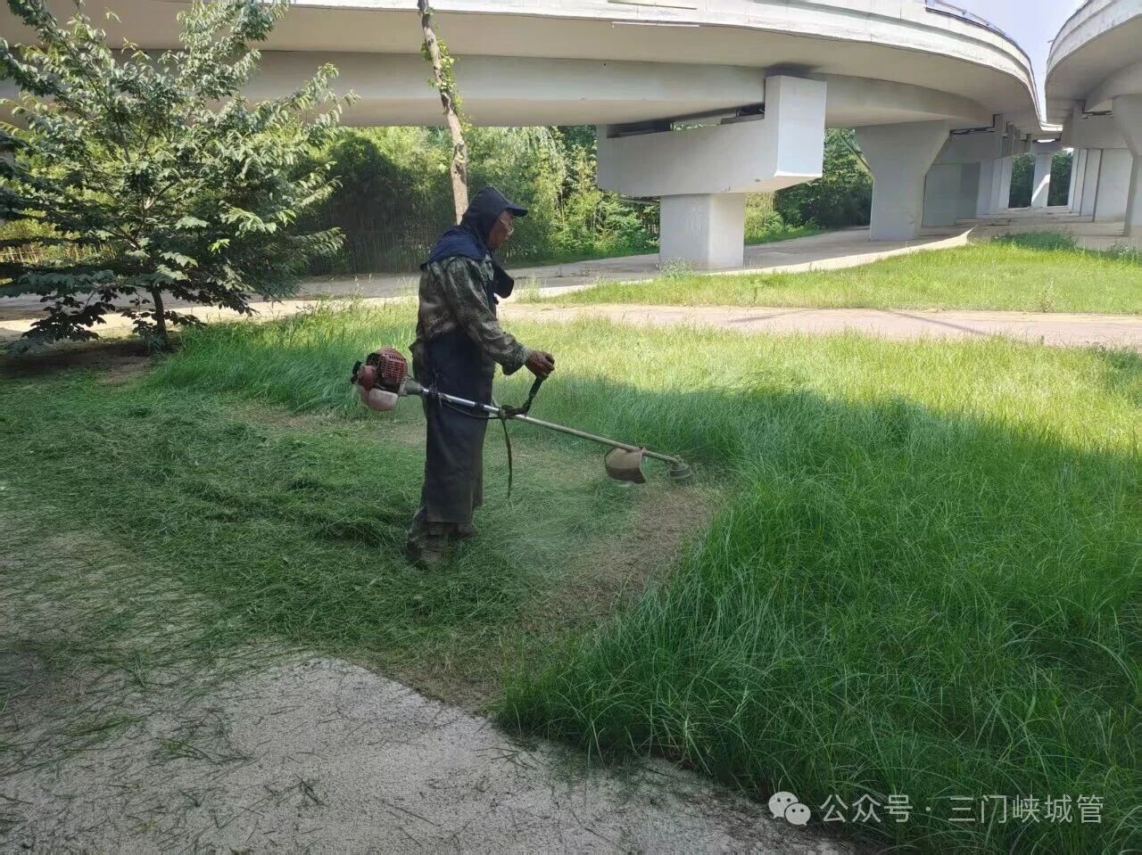 微信图片_2026-06-18_085002_692.jpg