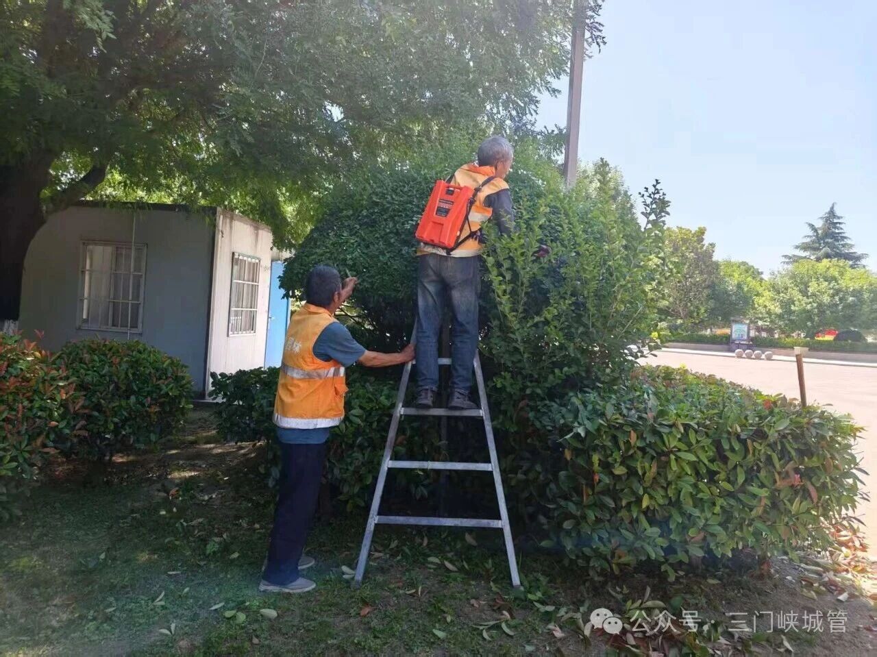 微信图片_2026-06-18_085012_277.jpg