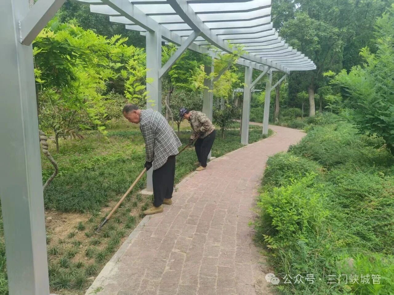 微信图片_2026-06-18_085025_669.jpg