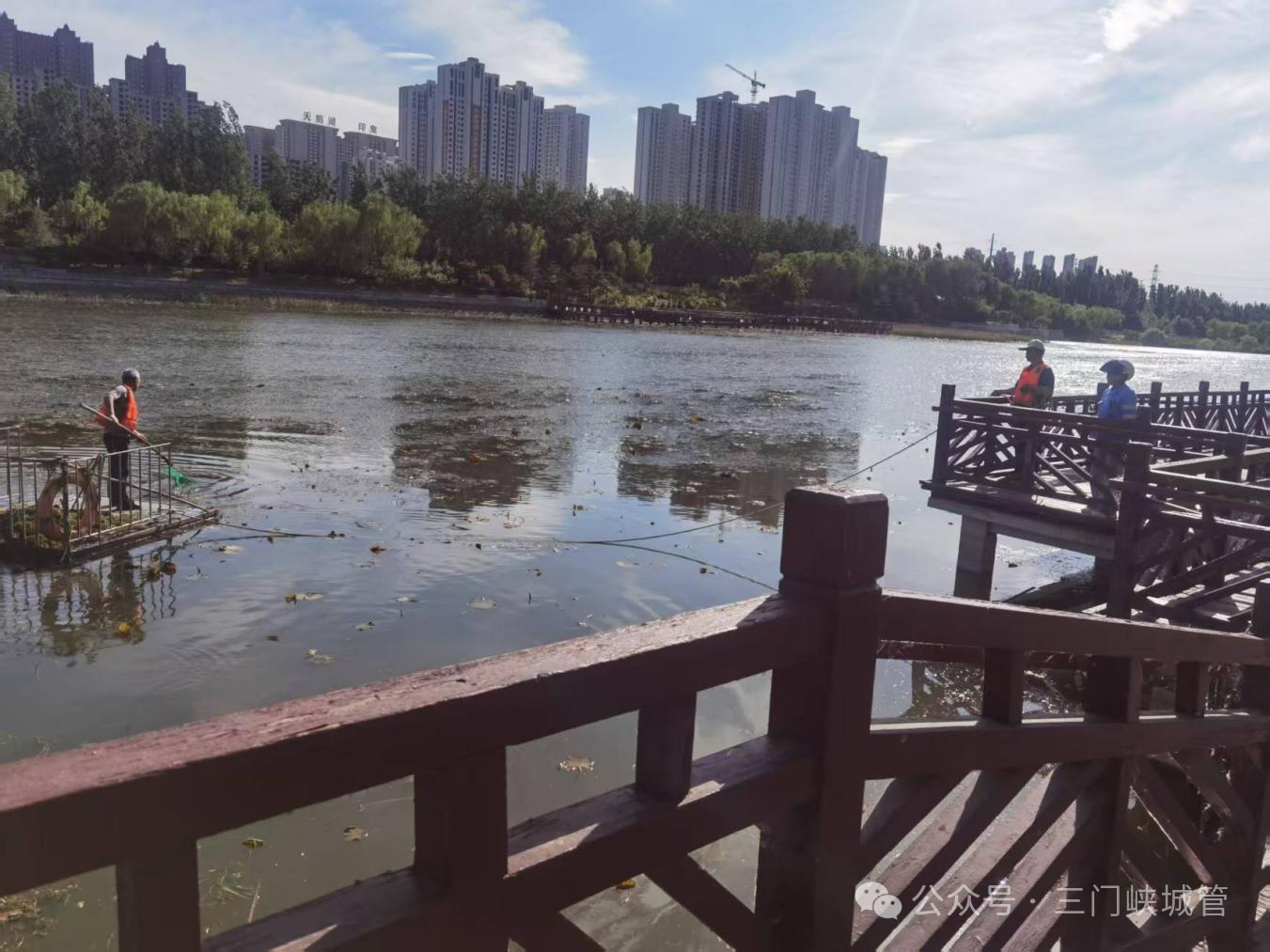 微信图片_2026-05-11_083934_469.png