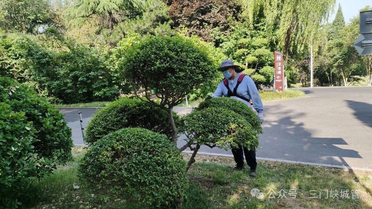 微信图片_2026-05-14_081715_986.jpg