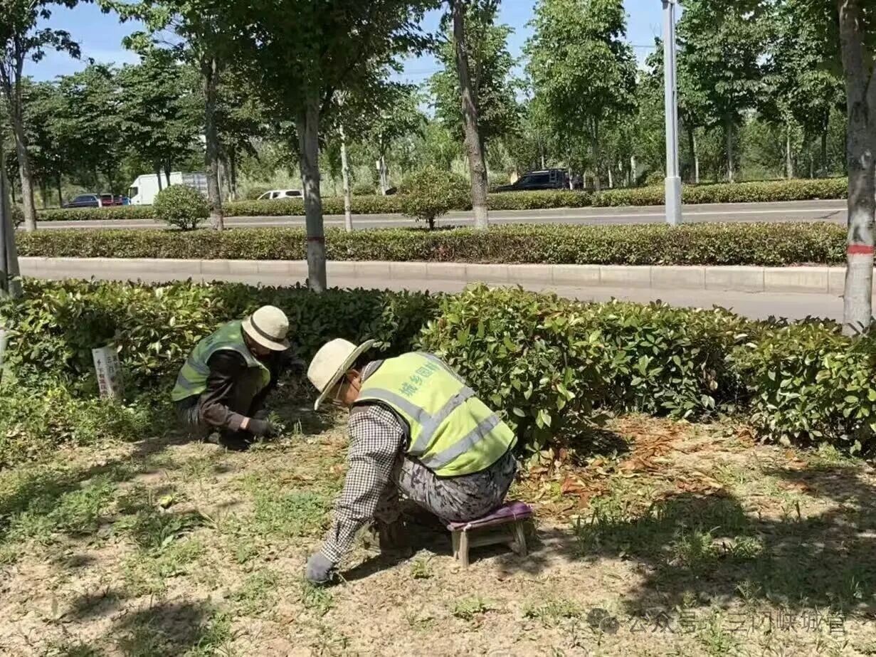 微信图片_2026-05-14_081735_048.jpg