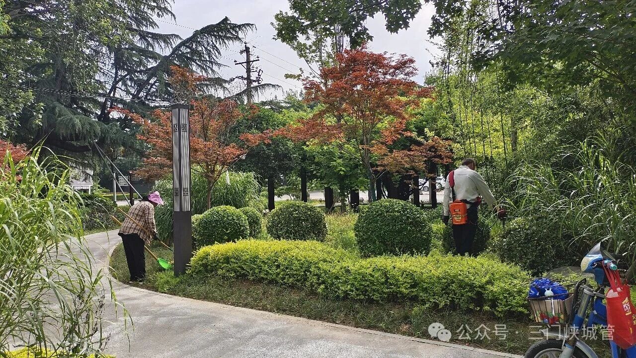 微信图片_2026-06-29_081033_579.jpg