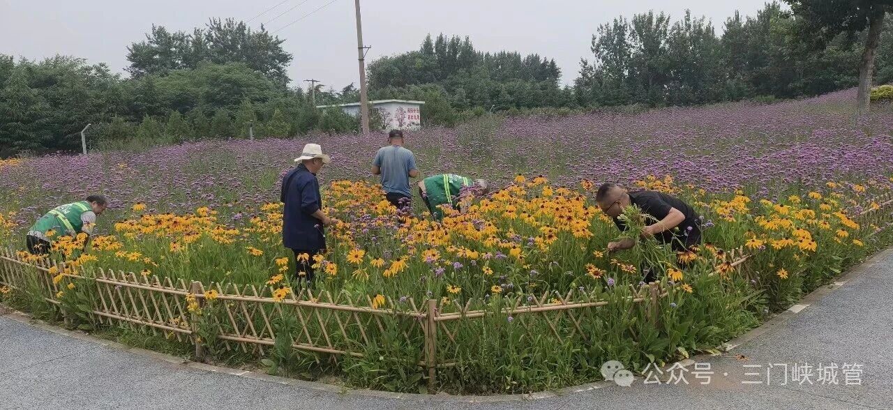 微信图片_2026-06-29_081040_531.jpg