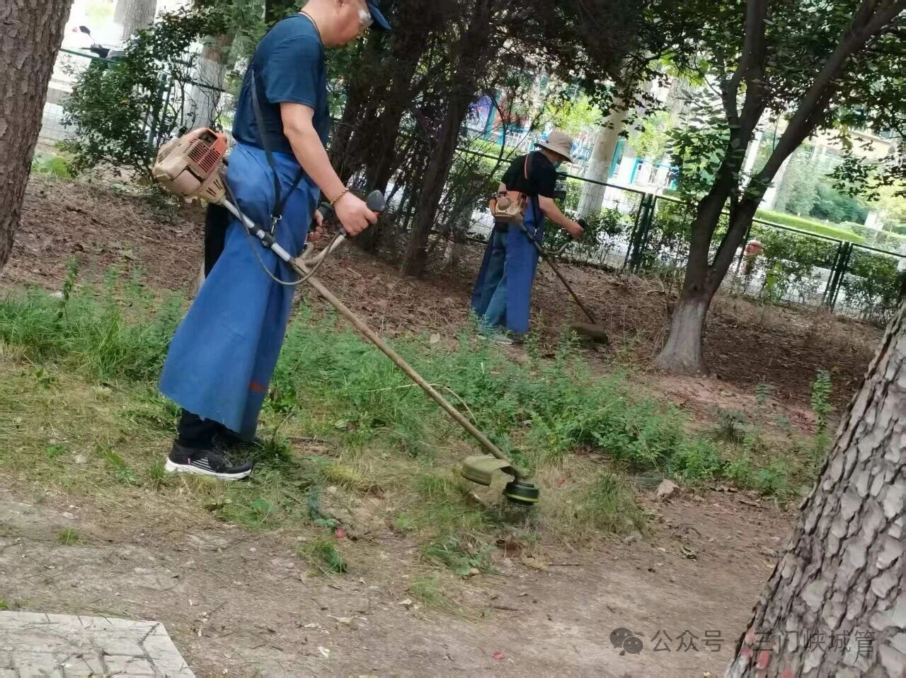 微信图片_2026-06-29_081048_122.jpg