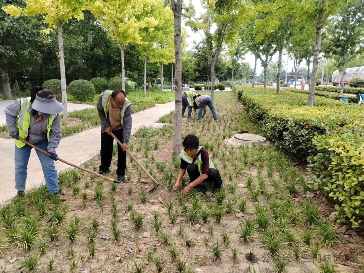 微信图片_2026-06-29_081054_177.jpg