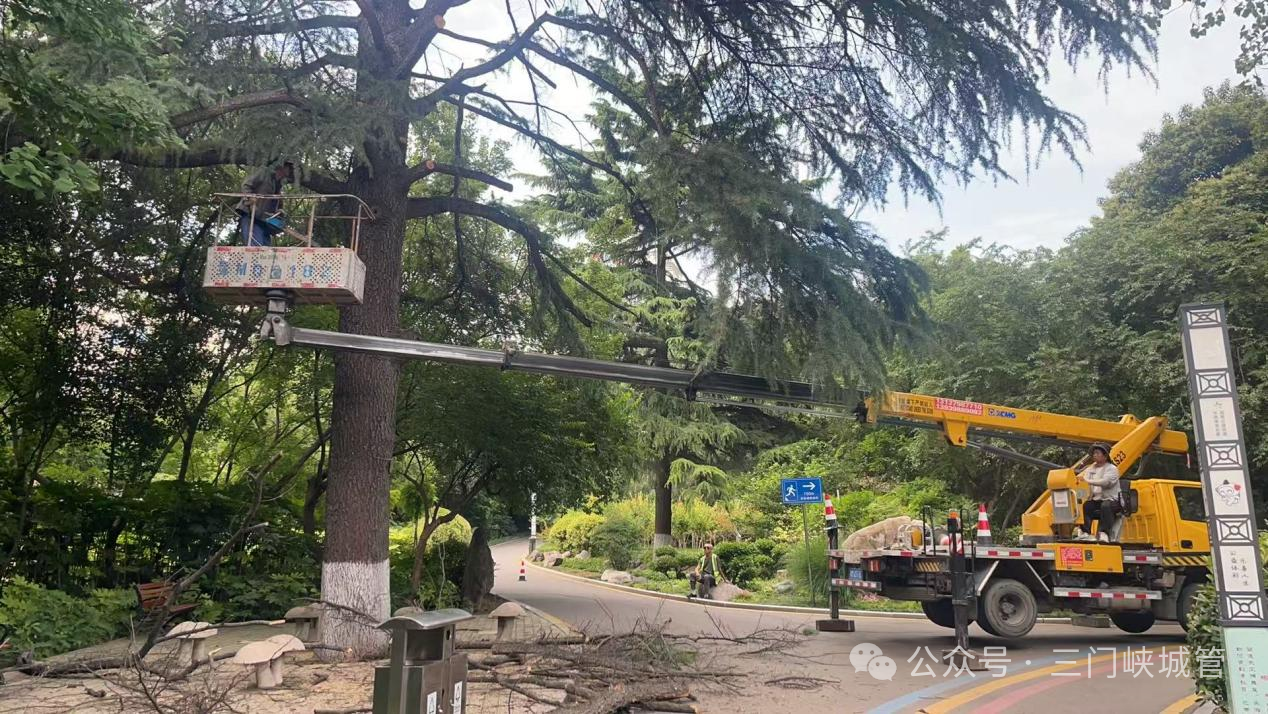 微信图片_2026-06-29_081706_937.png
