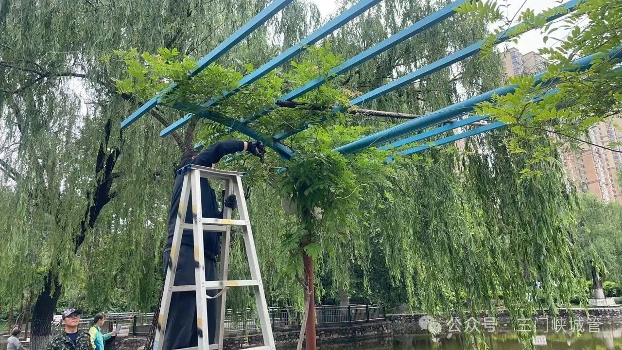 微信图片_2026-05-22_081015_242.jpg