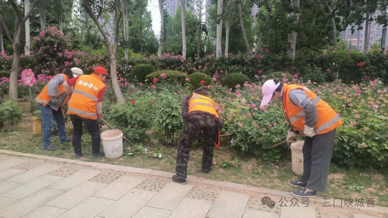 微信图片_2026-05-22_080937_852.jpg