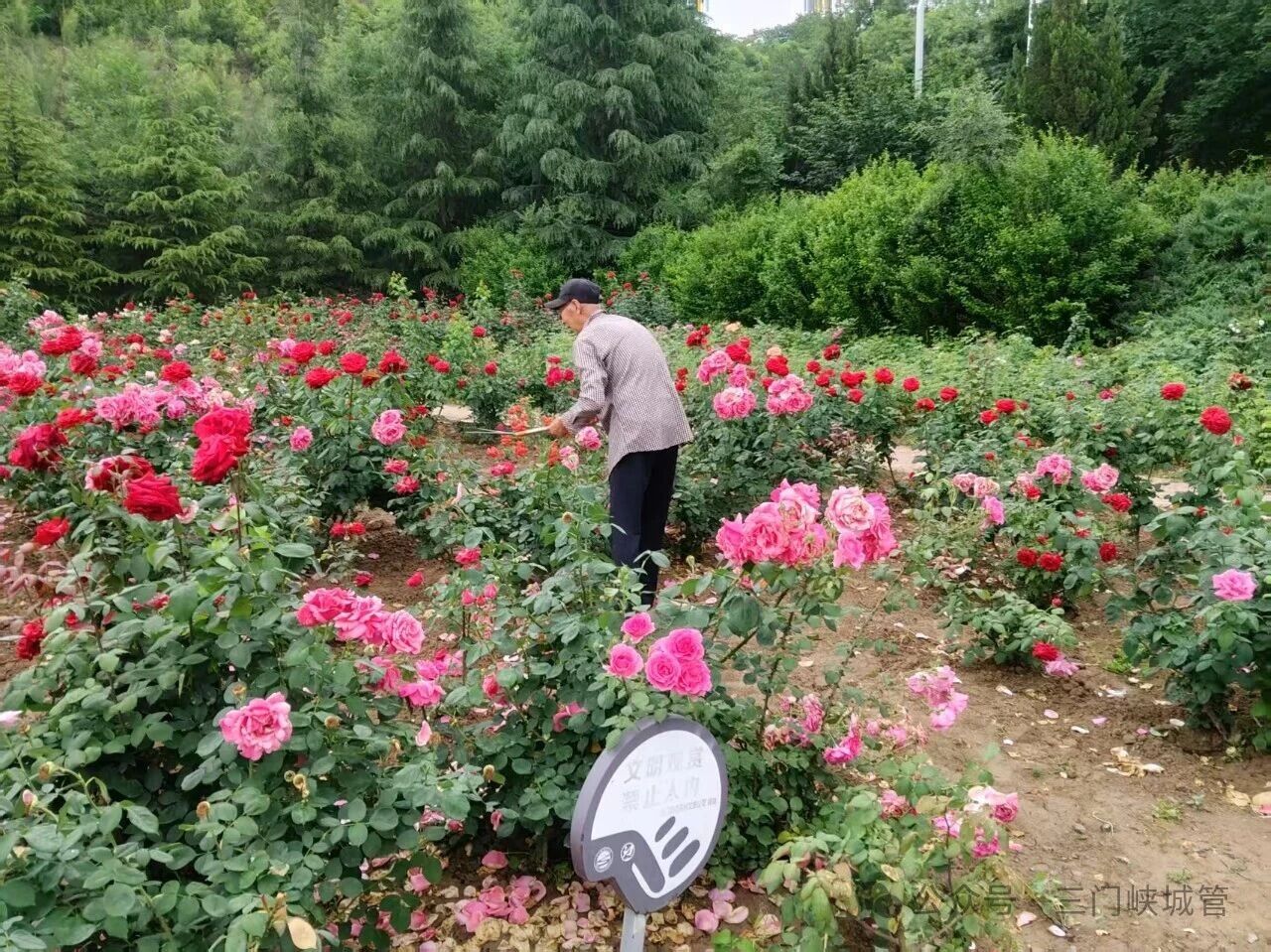 微信图片_2026-05-22_080955_027.jpg