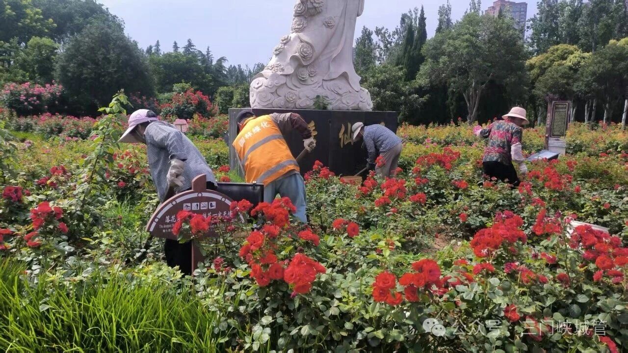 微信图片_2026-07-02_084007_265.jpg