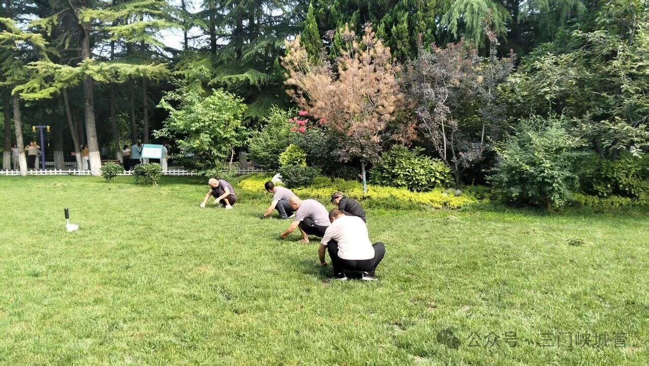 微信图片_2026-07-02_084027_449.jpg
