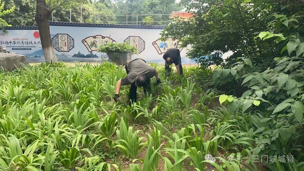 微信图片_2026-07-02_084034_313.jpg