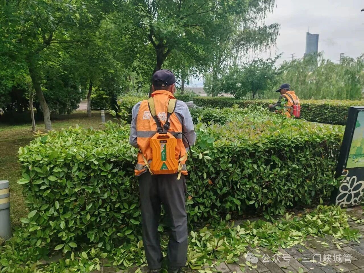 微信图片_2026-05-29_082314_303.jpg