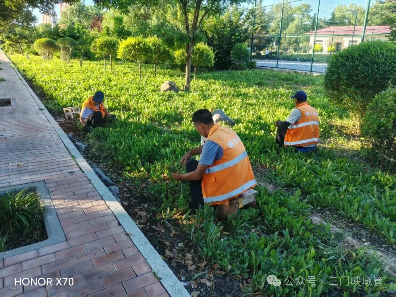 微信图片_2026-07-10_101050_042.jpg