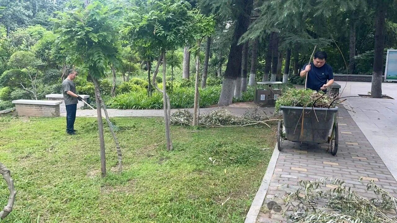 微信图片_2026-07-10_101108_300.jpg