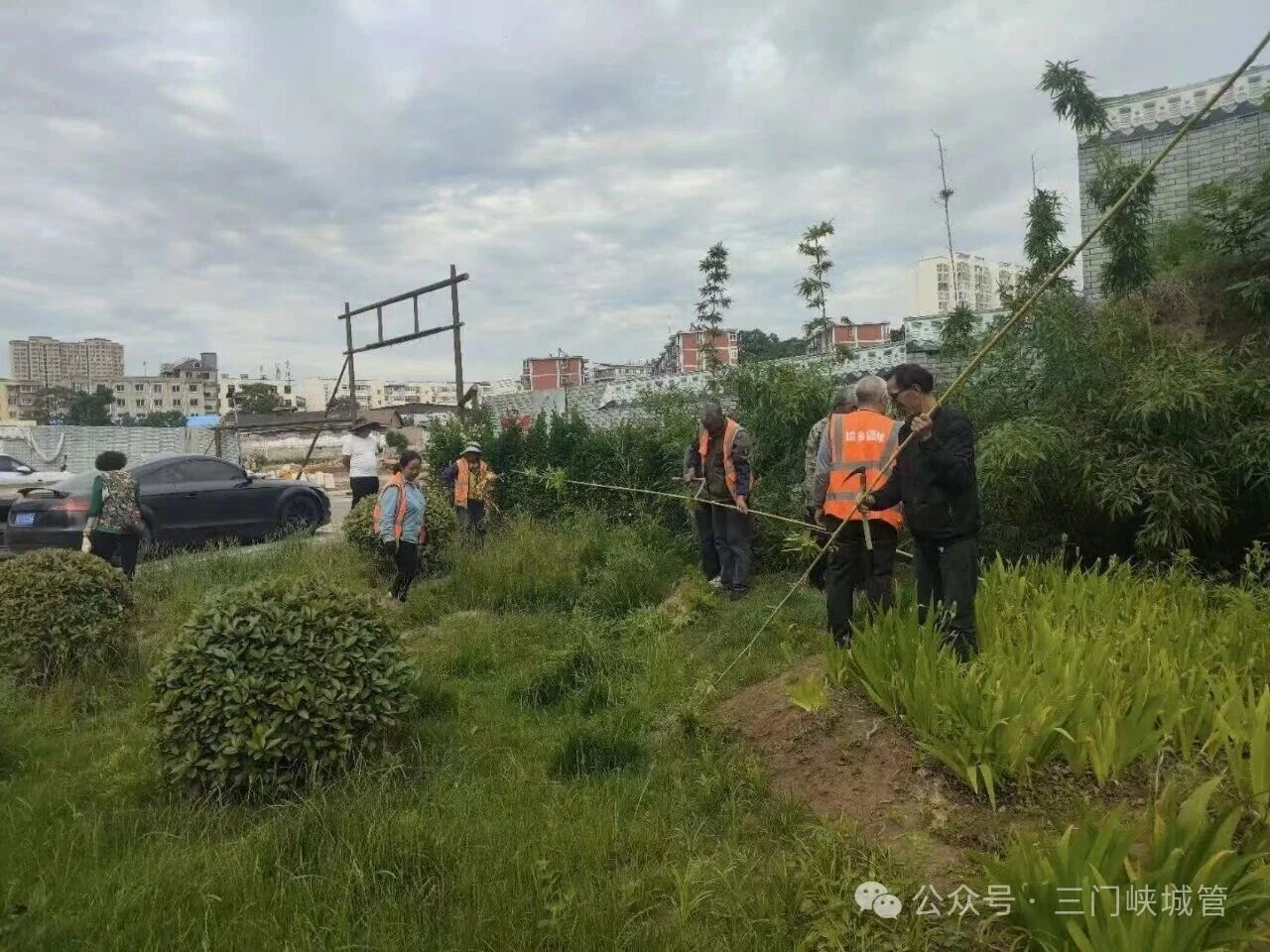 微信图片_2026-06-09_085114_842.jpg