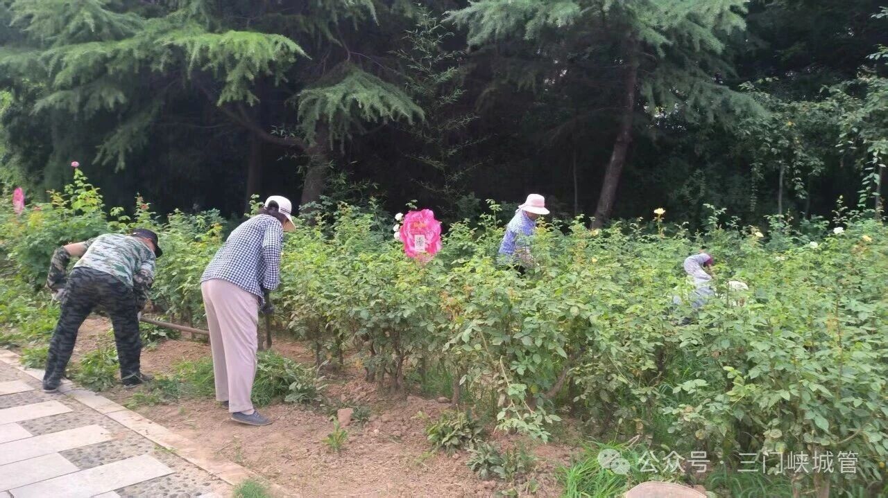 微信图片_2026-07-17_081300_091.jpg