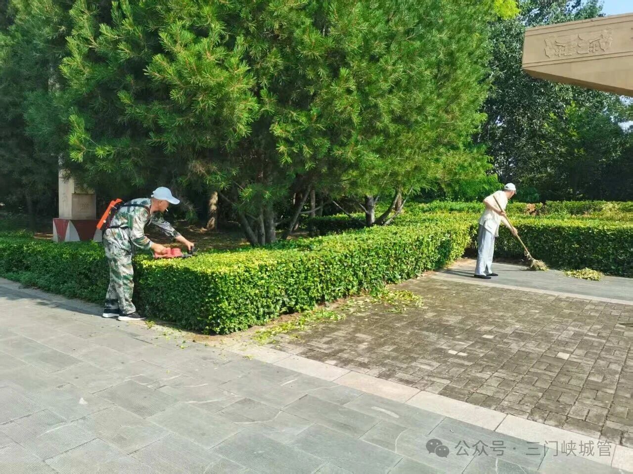 微信图片_2026-07-17_081307_943.jpg