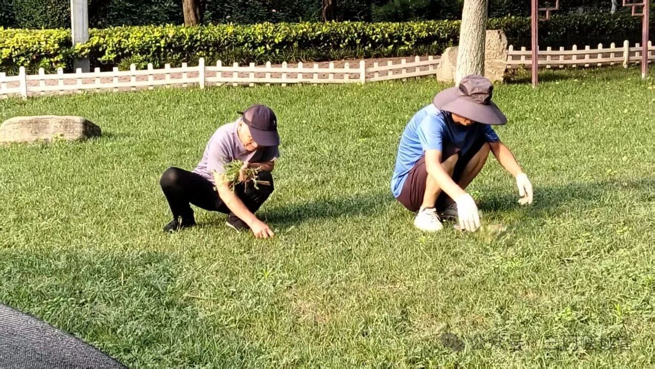 微信图片_2026-07-17_081314_293.jpg