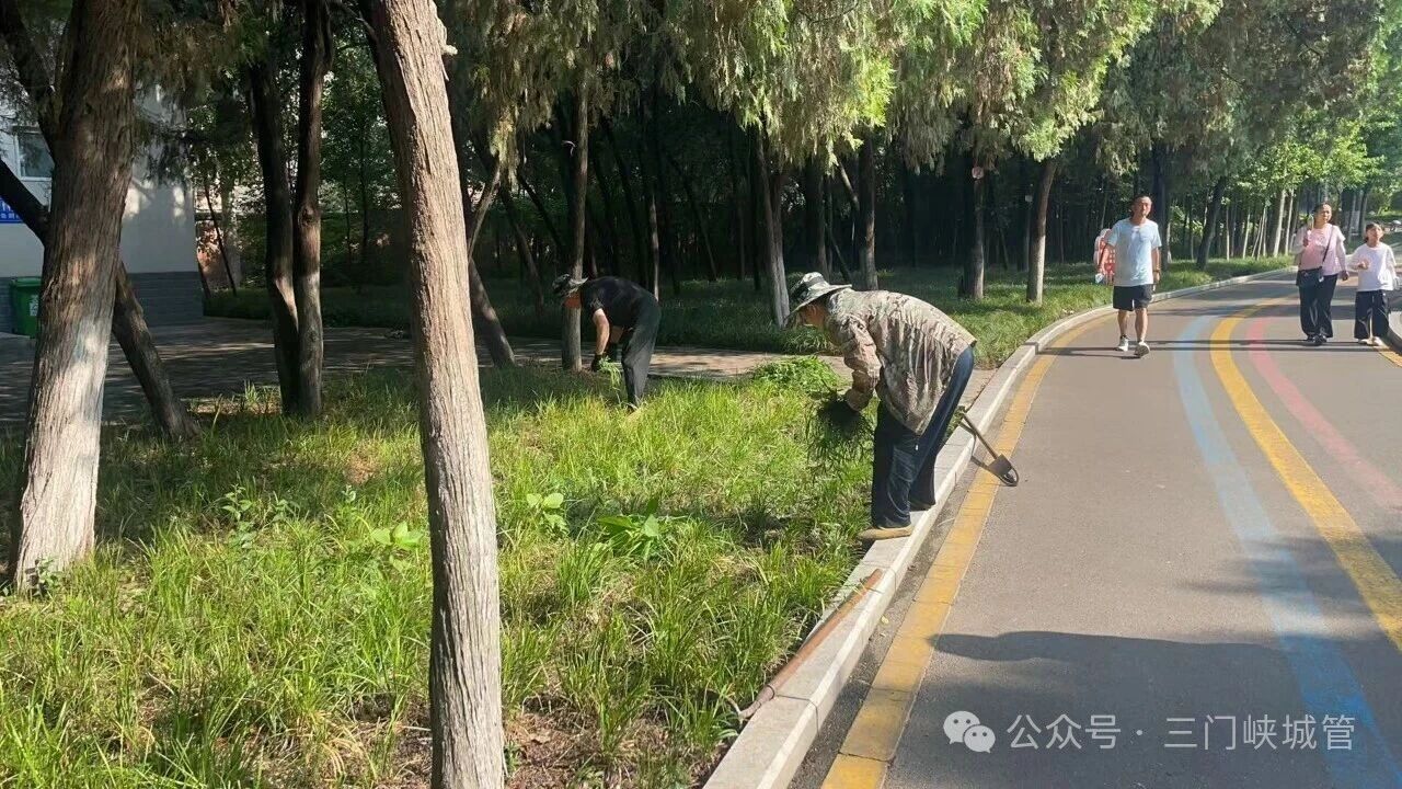 微信图片_2026-07-17_081322_200.jpg