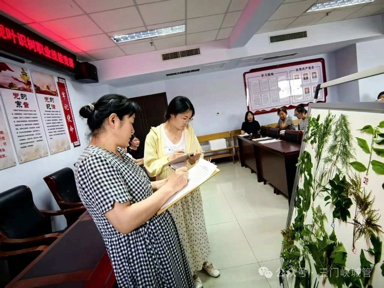 微信图片_2026-07-17_082051_863.jpg