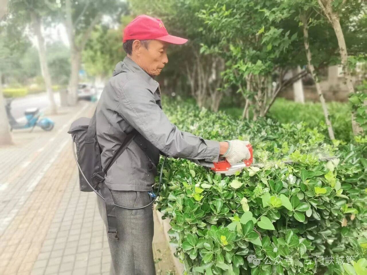 微信图片_2026-06-10_083052_913.jpg