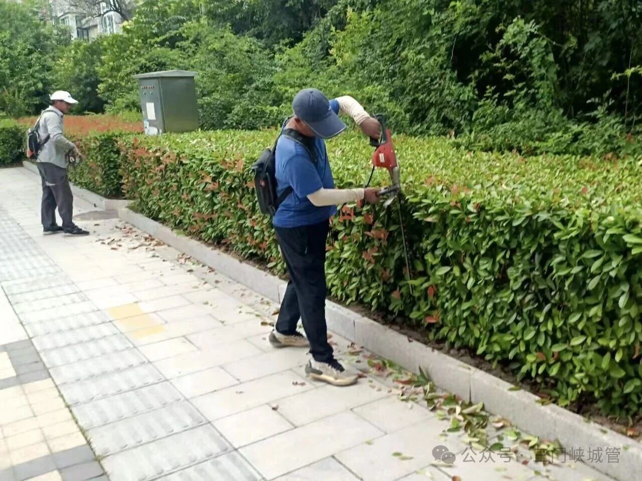 微信图片_2026-06-15_082852_306.jpg