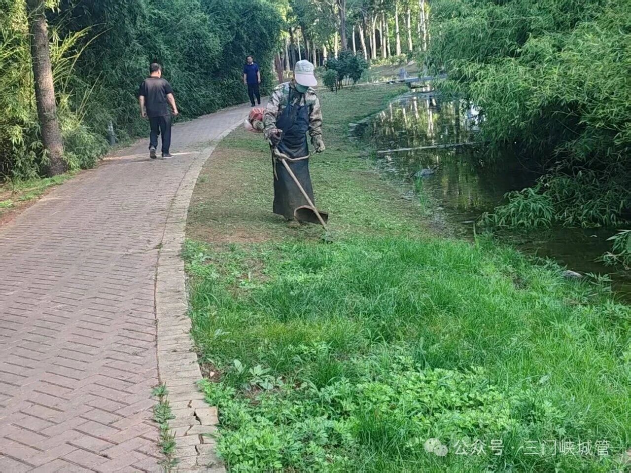 微信图片_2026-06-15_081858_715.jpg