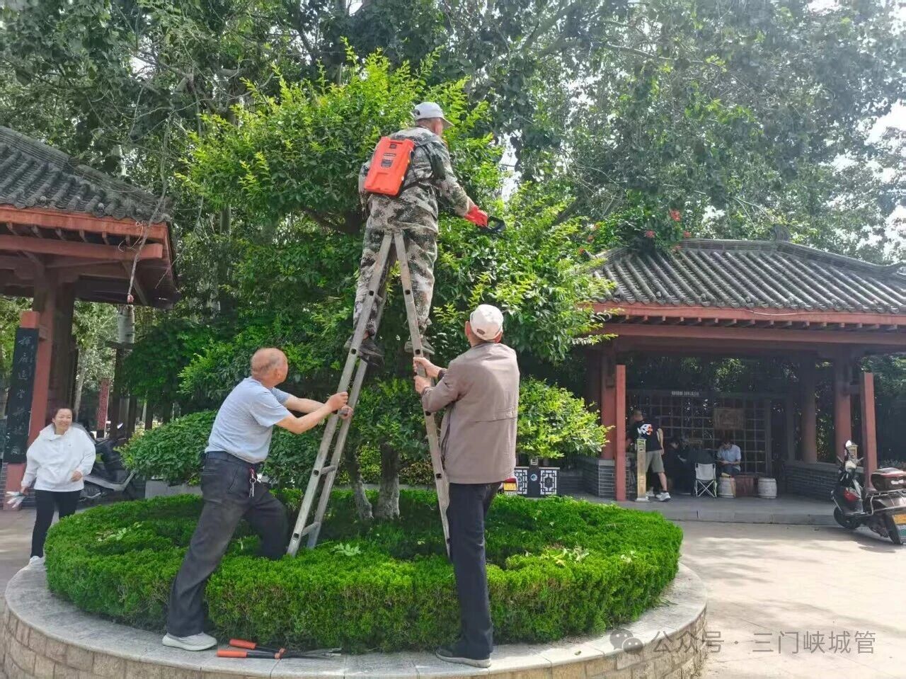 微信图片_2026-06-15_081905_457.jpg