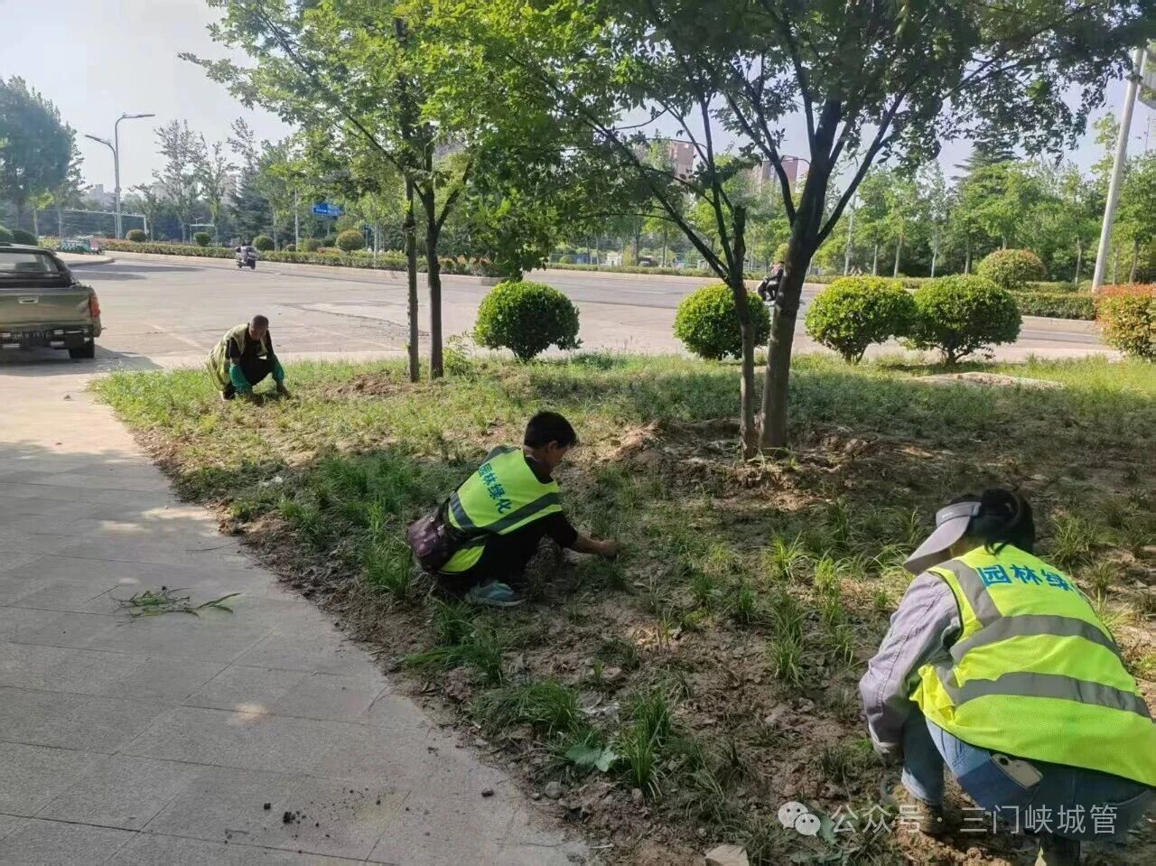 微信图片_2026-06-15_081921_732.jpg