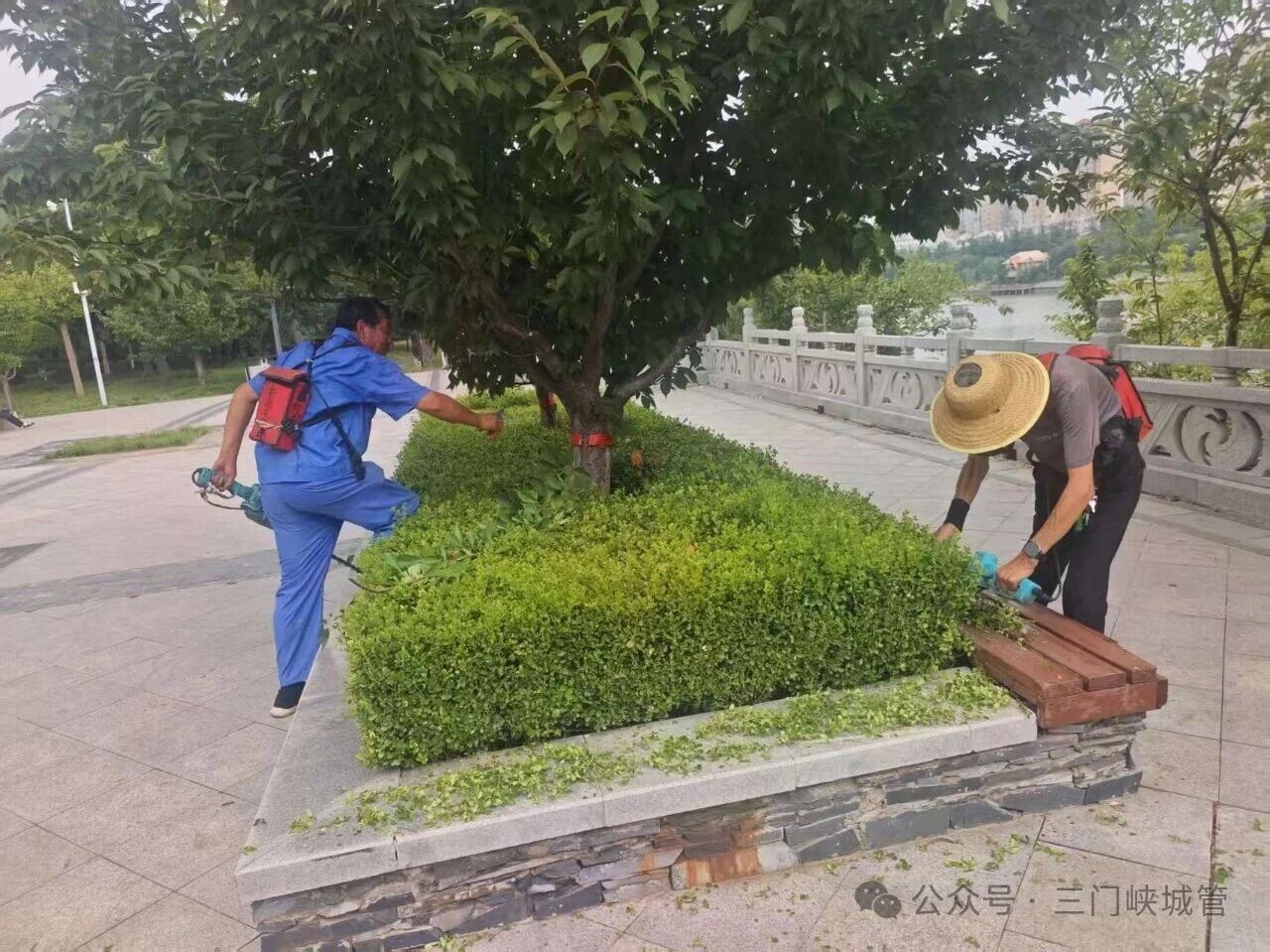 微信图片_2026-08-03_082605_790.jpg 微信图片_2026-08-03_082605_790.jpg