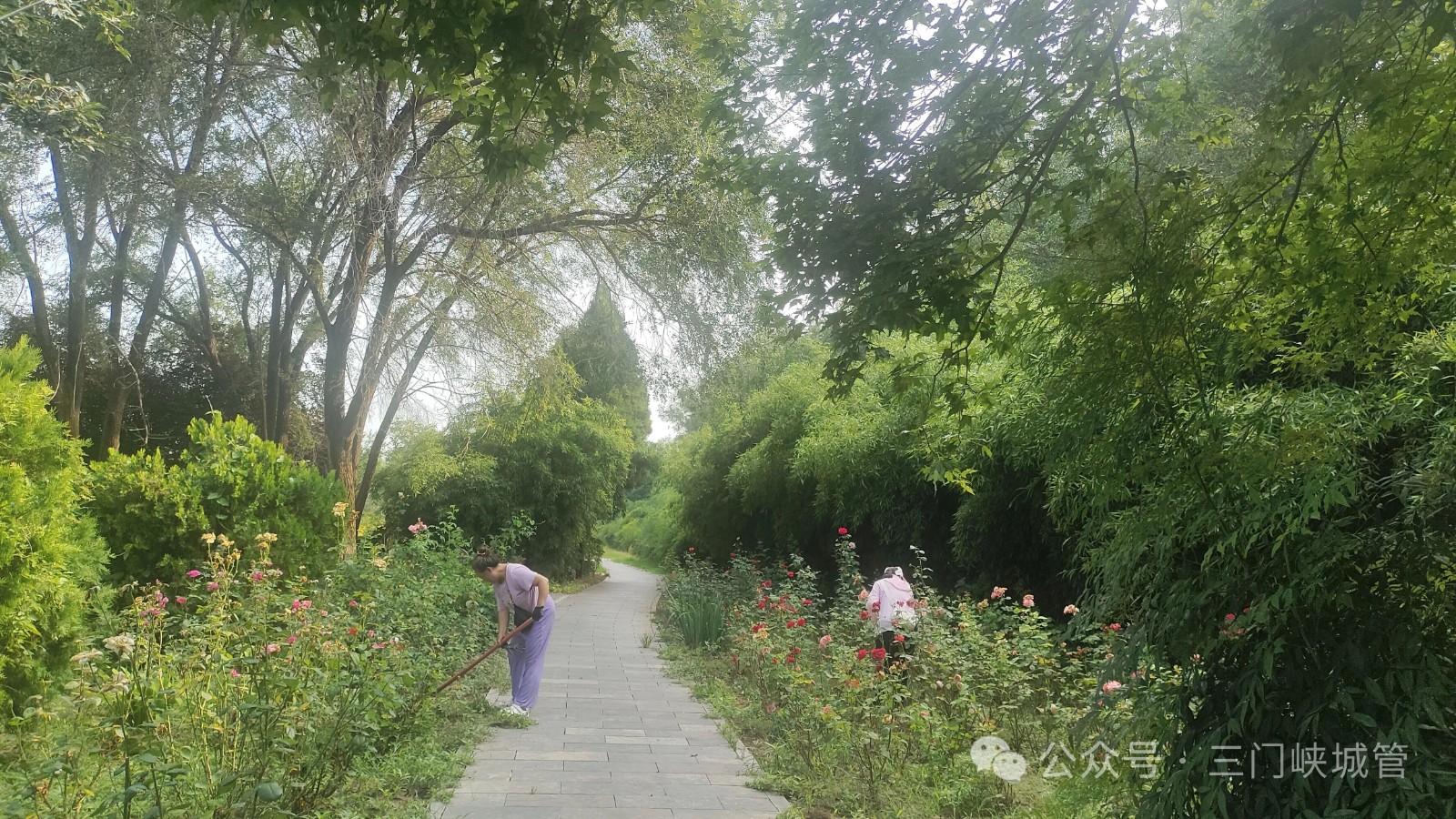 微信图片_2026-08-03_082619_814.jpg 微信图片_2026-08-03_082619_814.jpg