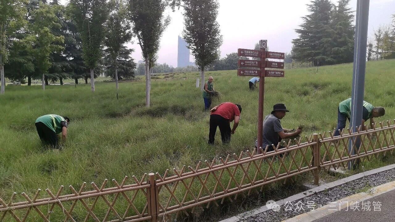 微信图片_2026-08-03_082625_504.jpg 微信图片_2026-08-03_082625_504.jpg