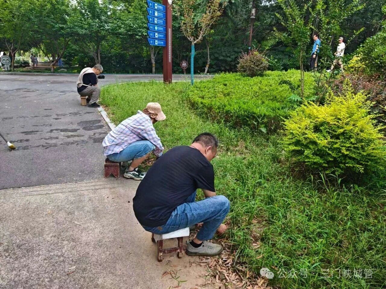 微信图片_2026-08-03_082633_726.jpg 微信图片_2026-08-03_082633_726.jpg