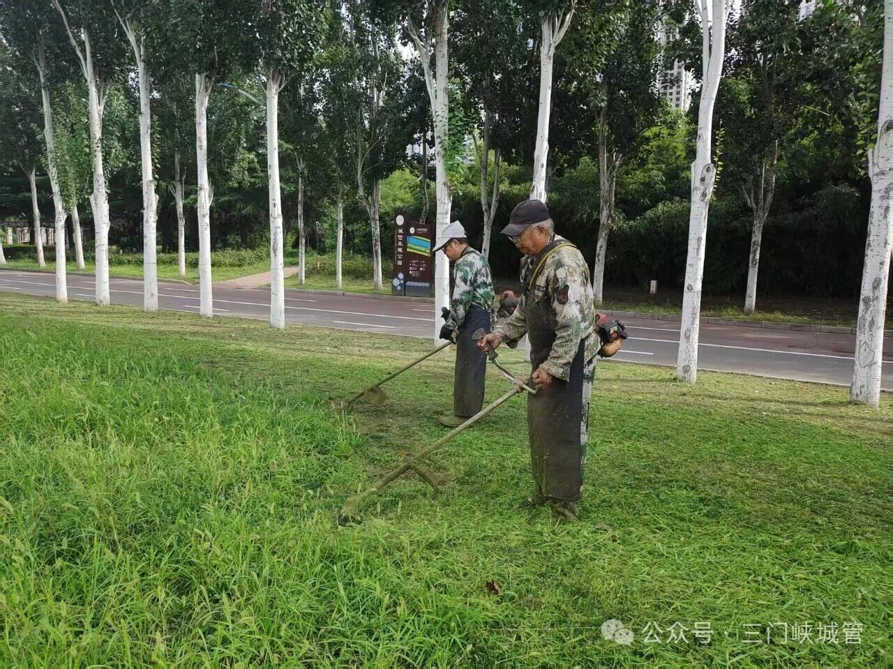 微信图片_2026-08-07_083511_657.jpg