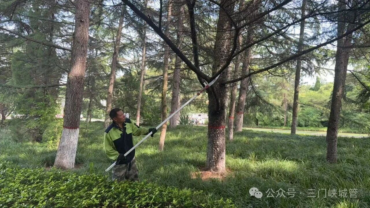 微信图片_2026-08-07_083524_859.jpg