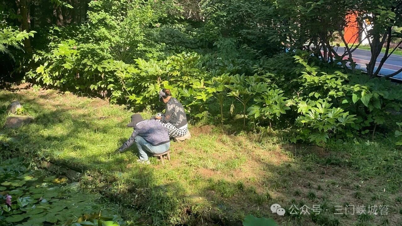 微信图片_2026-08-07_083533_161.jpg