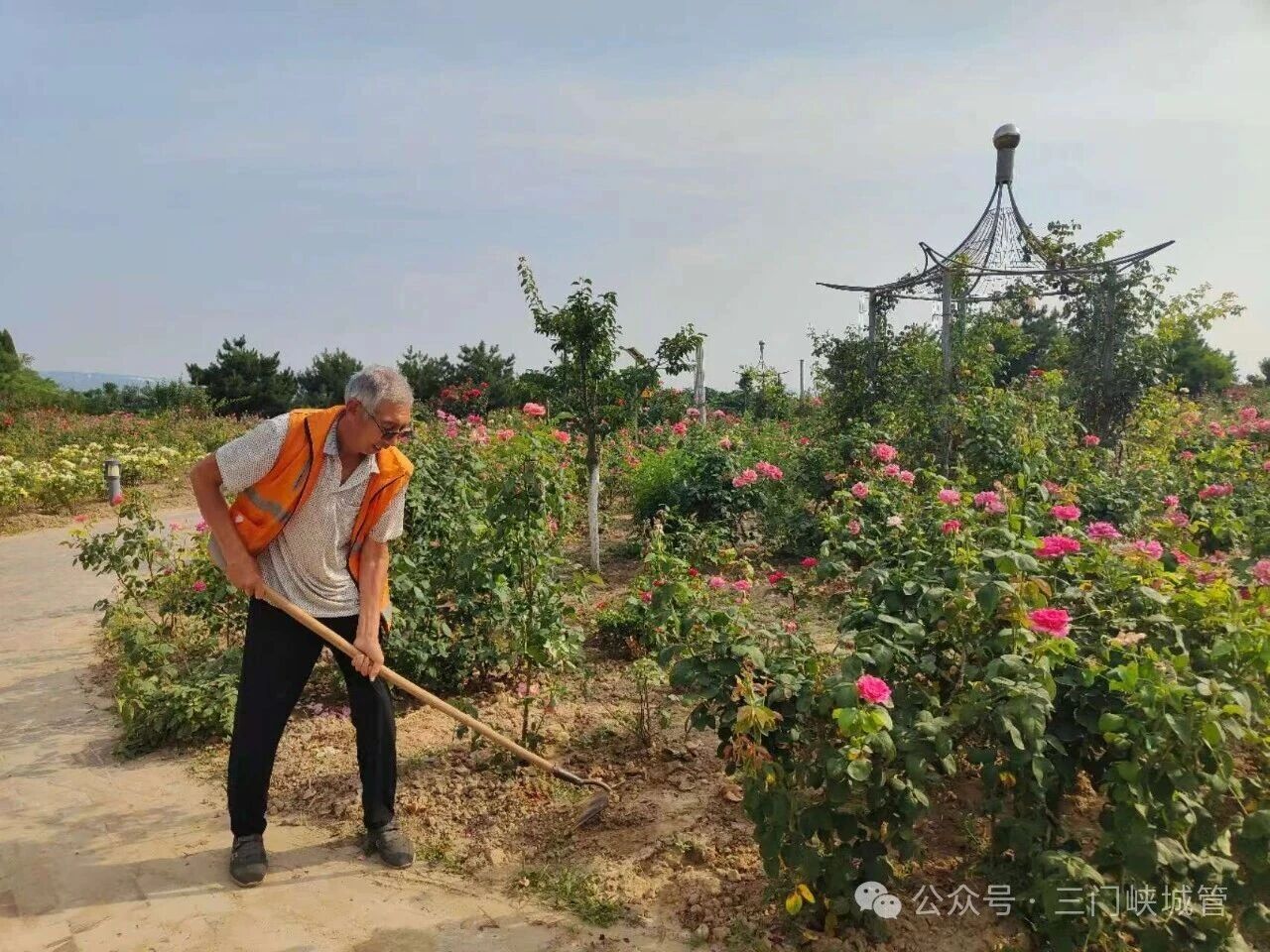 微信图片_2026-06-29_081036_987.jpg