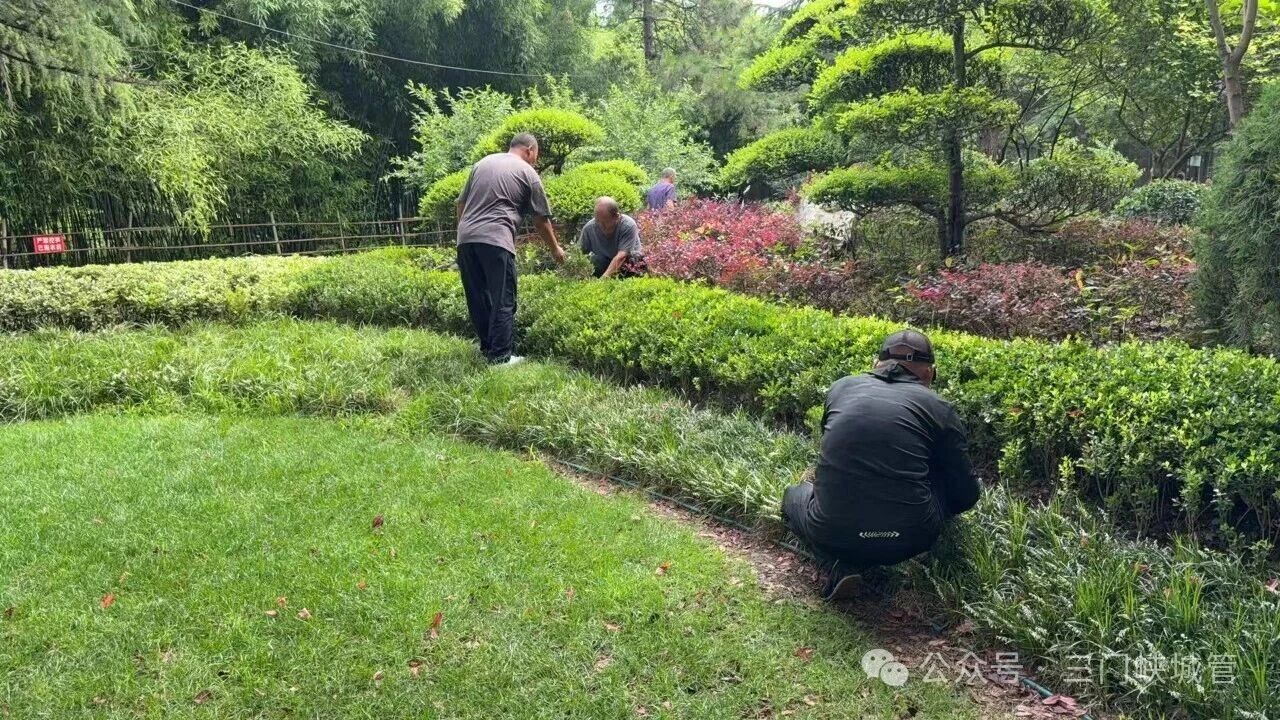 微信图片_2026-06-29_081043_435.jpg