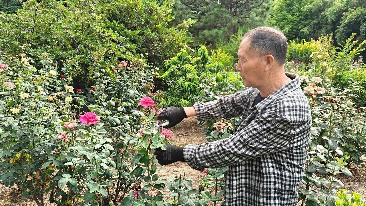 微信图片_2026-06-29_081051_081.jpg