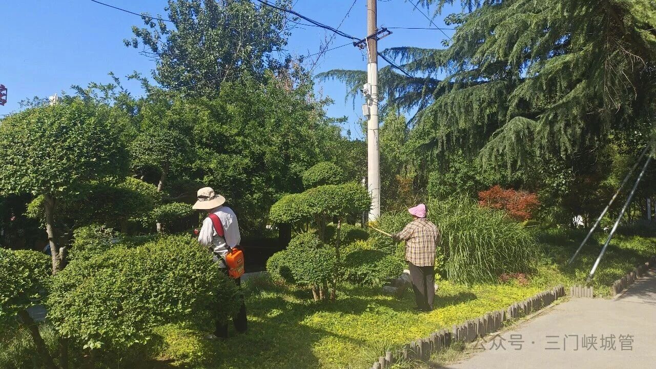 微信图片_2026-07-10_101053_136.jpg