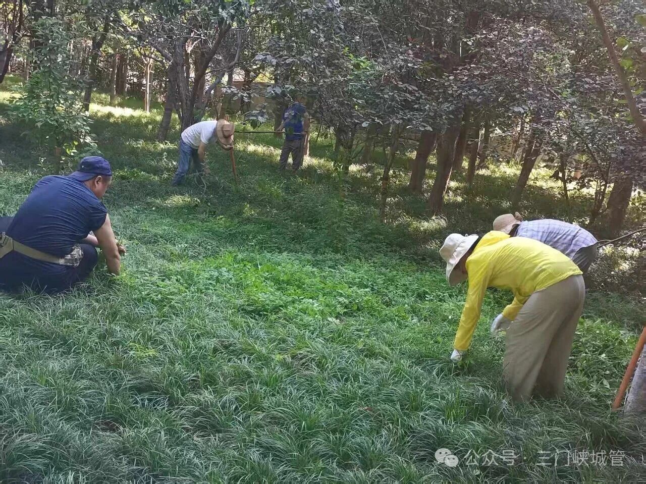 微信图片_2026-07-10_101105_497.jpg