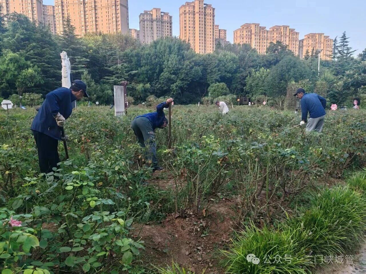 微信图片_2026-09-01_083600_778.jpg