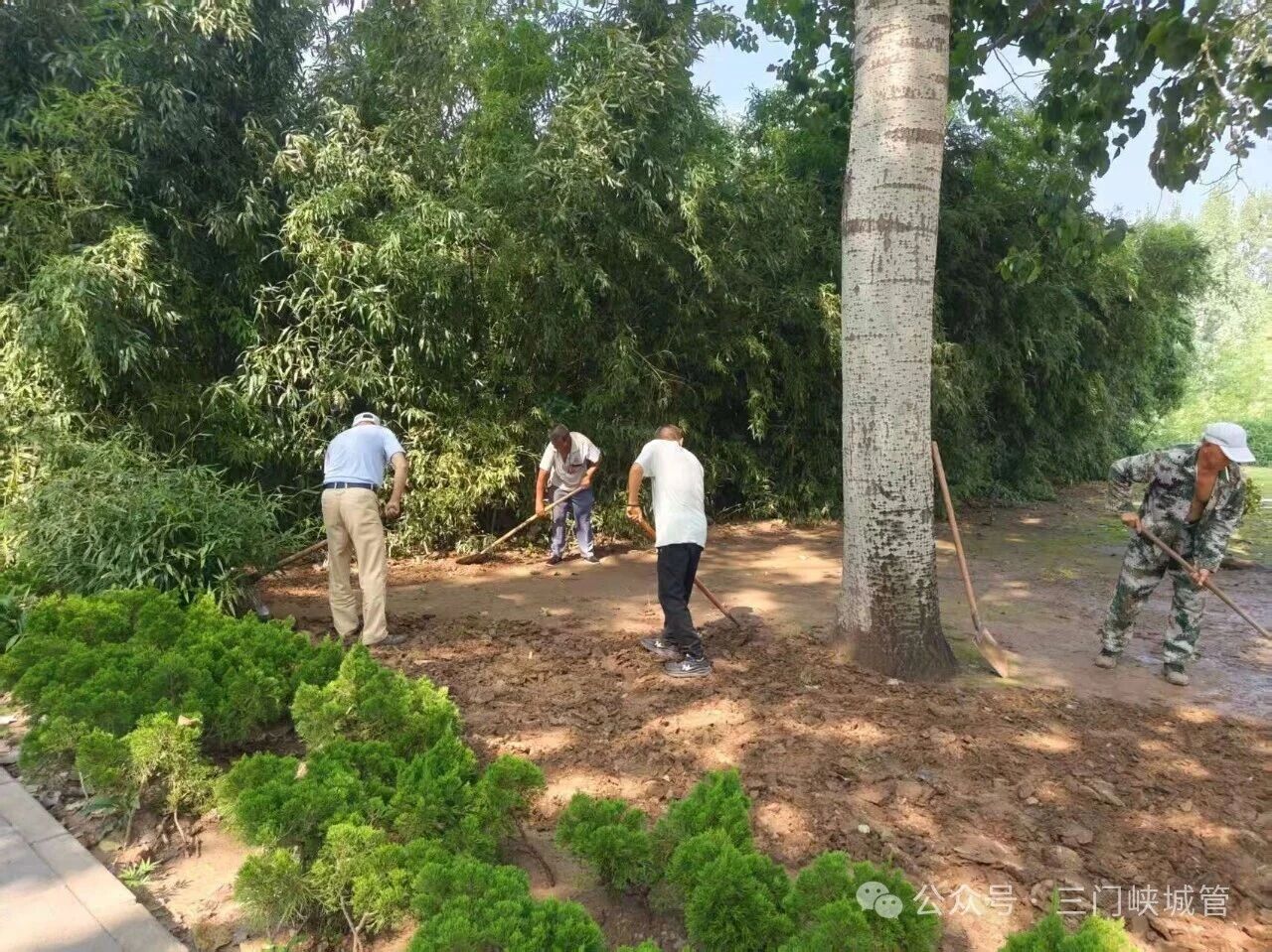 微信图片_2026-09-01_083617_763.jpg