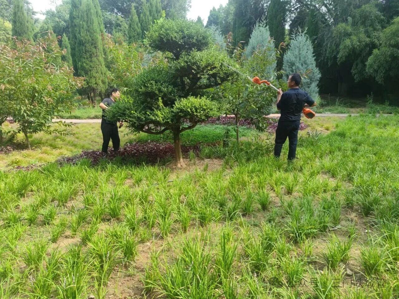 微信图片_2026-09-01_083629_865.jpg