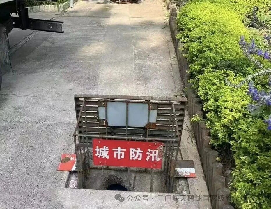 微信图片_2026-07-16_082003_891.jpg